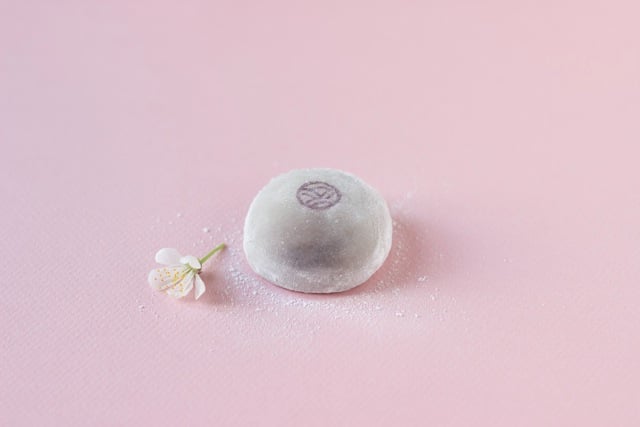 La Maison du Mochi 3